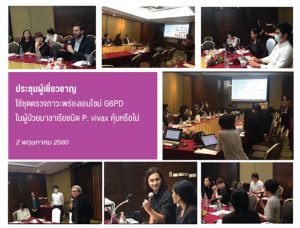 ประชุมผู้เชี่ยวชาญใช้ชุดตรวจภาวะพร่องเอนไซม์ G6PD ในผู้ป่วยมาลาเรียคุ้มค่าหรือไม่