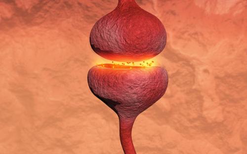 อัลไซเมอร์…มหันตภัยร้ายในบั้นปลายชีวิต