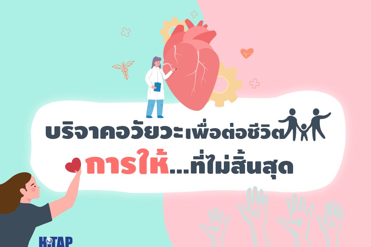 บริจาคอวัยวะเพื่อต่อชีวิต การให้ที่ไม่สิ้นสุด