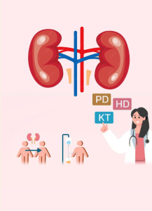 รายงานฉบับสมบูรณ์ เรื่อง การถอดบทเรียนเพื่อนำไปสู่ข้อเสนอแนะเพื่อพัฒนานโยบายการบำบัดทดแทนไต ภายใต้ระบบหลักประกันสุขภาพแห่งชาติ
