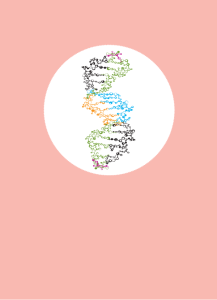 รายงานวิจัย: การประเมินความคุ้มค่าทางเศรษฐศาสตร์ของกระบวนการตรวจวินิจฉัยเพื่อป้องกันการเกิดซ้ำของกลุ่มทารกที่มีความผิดปกติทางโครงสร้างของโครโมโซม