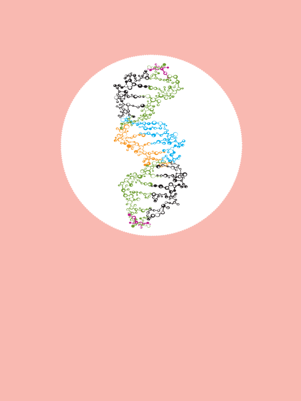 รายงานวิจัย: การประเมินความคุ้มค่าทางเศรษฐศาสตร์ของกระบวนการตรวจวินิจฉัยเพื่อป้องกันการเกิดซ้ำของกลุ่มทารกที่มีความผิดปกติทางโครงสร้างของโครโมโซม