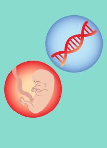 บริการตรวจคัดกรองการได้ยินในทารกแรกเกิดในประเทศไทย ทางเลือกใดคุ้มค่าบ้าง