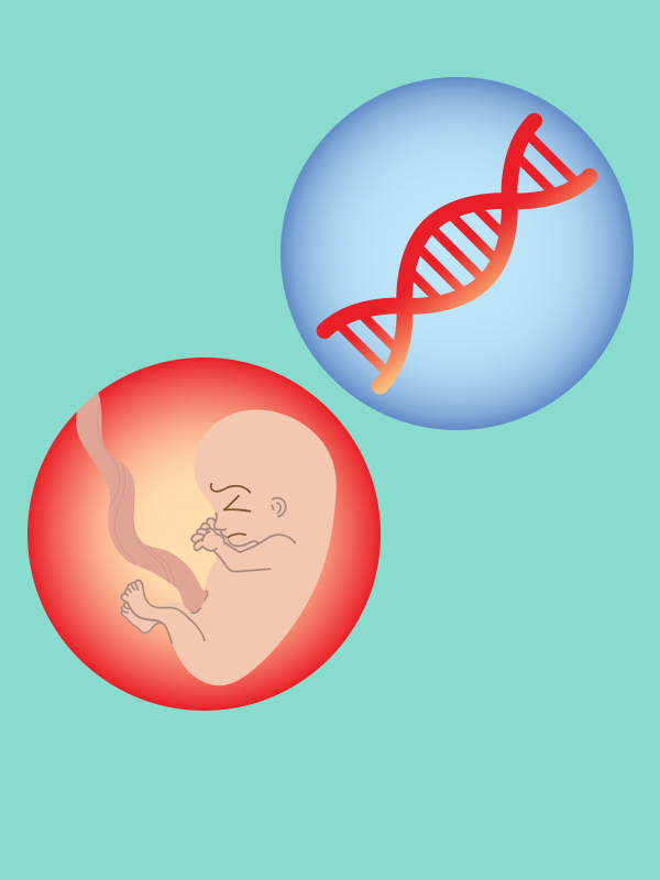 บริการตรวจคัดกรองการได้ยินในทารกแรกเกิดในประเทศไทย ทางเลือกใดคุ้มค่าบ้าง