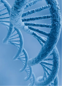 Research report: Advanced health biotechnologies in Thailand: State of the art, future trends and strategic preparation