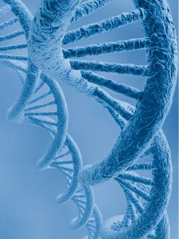 รายงานวิจัย: Advanced health biotechnologies in Thailand: State of the art, future trends and strategic preparation