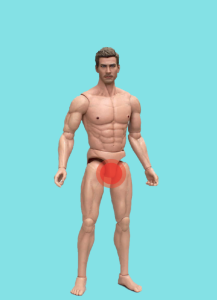 LHRH analogues ยาใหม่ รักษามะเร็งต่อมลูกหมาก ไม่ต้องตัดทิ้ง