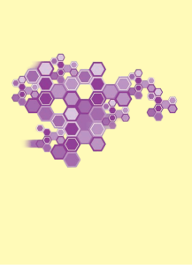 รายงานวิจัย: การศึกษาทบทวนการดำเนินการลดบริโภคเครื่องดื่มแอลกอออล์ในประเทศไทย พ.ศ. 2540-2550 และบทบาท สสส.