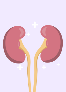 เสียงจากการเปลี่ยนแปลง นโยบายบําบัดทดแทนไตปี 2565