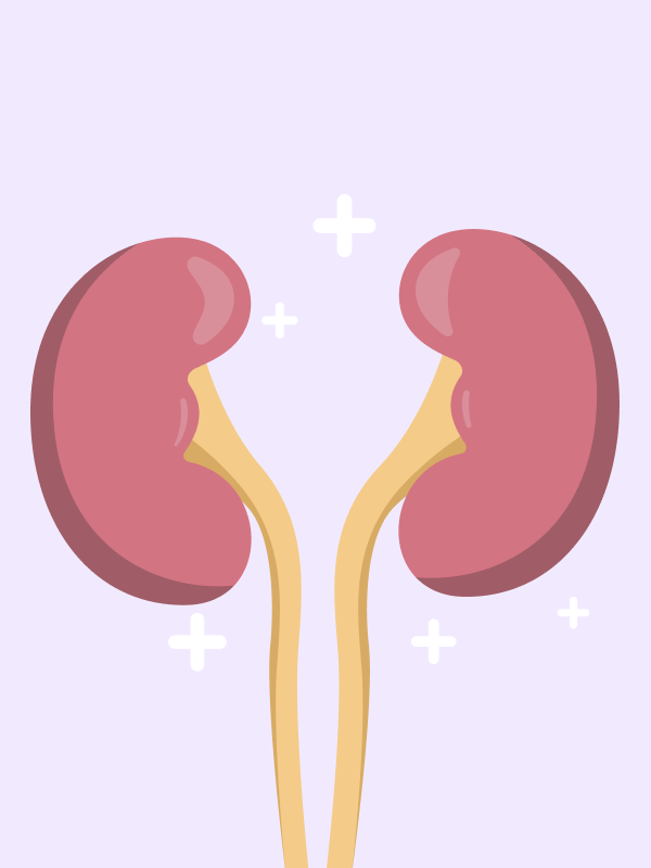 เสียงจากการเปลี่ยนแปลง นโยบายบําบัดทดแทนไตปี 2565