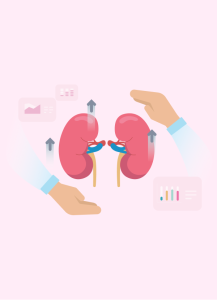 นโยบายการบําบัดทดแทนไตใหม่ ปี 2565 มีผลกระทบต่อผู้ป่วยและระบบสุขภาพอย่างไร และใน 10 ปีข้างหน้าจะเกิดอะไรขึ้น หากไม่มีการเปลี่ยนแปลง