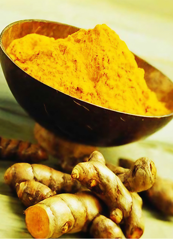 จุลสาร ปีที่ 4 ฉบับที่ 12 เมษายน-มิถุนายน 2554: ยาสมุนไพรไทย