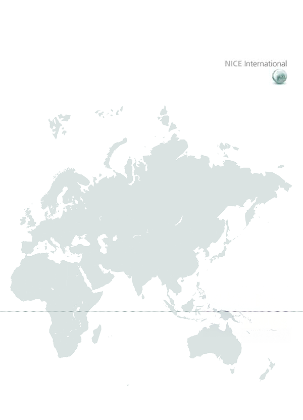 NICE International Review 2013