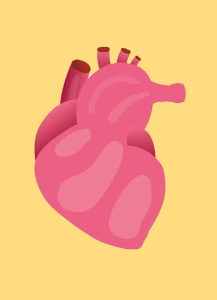 ทางเลือกในการจัดซื้อ stent ภายใต้ระบบหลักประกันสุขภาพถ้วนหน้า