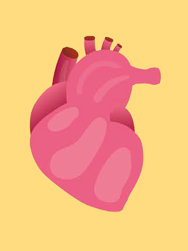 ทางเลือกในการจัดซื้อ stent ภายใต้ระบบหลักประกันสุขภาพถ้วนหน้า