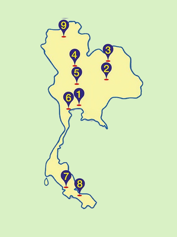 เภสัชพันธุศาสตร์ถอดรหัสปัญหาแพ้ยารุนแรงในคนไทย