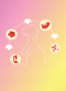 รายงานวิจัย: รายงานการประเมินโครงการป้องกันและควบคุมโรคโลหิตจางธาลัสซีเมียในหญิงตั้งครรภ์