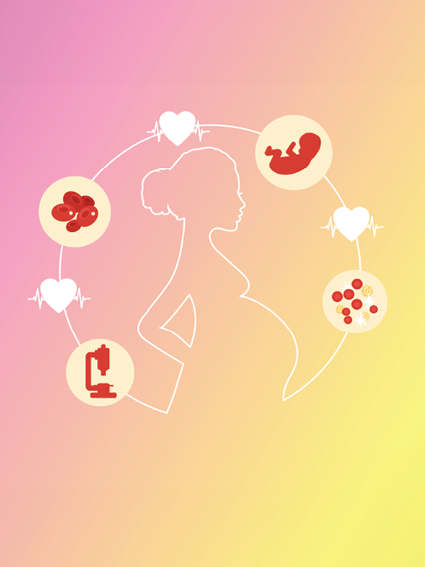 รายงานวิจัย: รายงานการประเมินโครงการป้องกันและควบคุมโรคโลหิตจางธาลัสซีเมียในหญิงตั้งครรภ์