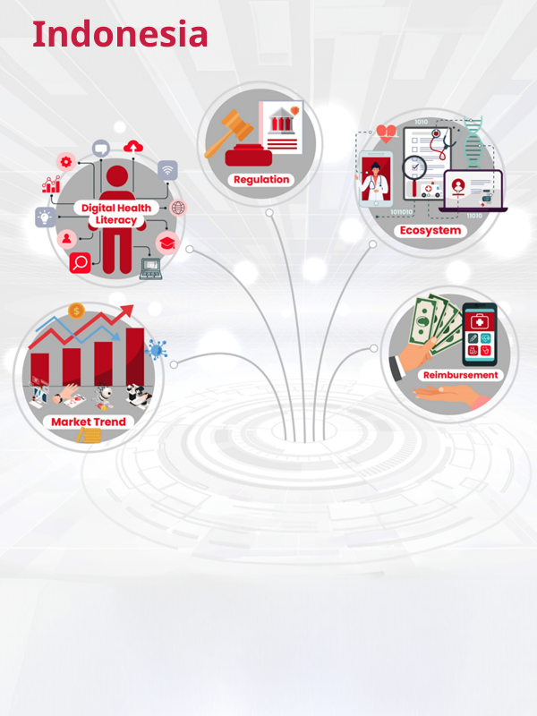 Navigating the Landscape of Digital Health: Indonesia